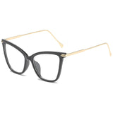 Spectacles Clear Lens