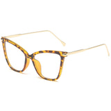 Spectacles Clear Lens